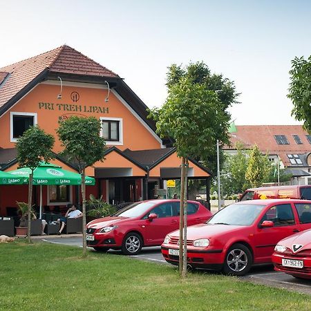 Guest House Pri Treh Lipah Ptuj Dış mekan fotoğraf