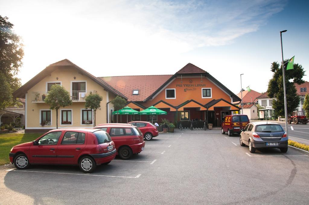 Guest House Pri Treh Lipah Ptuj Dış mekan fotoğraf