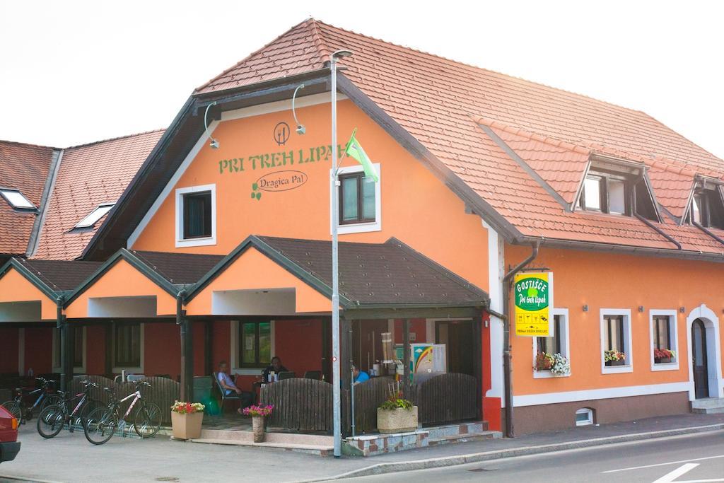 Guest House Pri Treh Lipah Ptuj Dış mekan fotoğraf