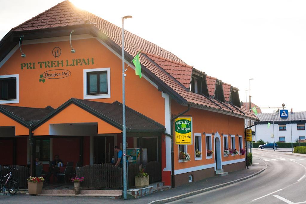 Guest House Pri Treh Lipah Ptuj Dış mekan fotoğraf